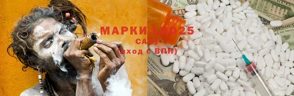 ГАЛЛЮЦИНОГЕННЫЕ ГРИБЫ Аркадак