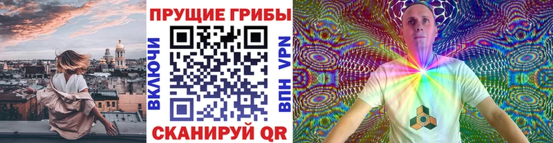 ссылка на мегу tor  где найти наркотики  Петушки  Псилоцибиновые грибы мицелий 
